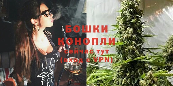 сатива Верхний Тагил