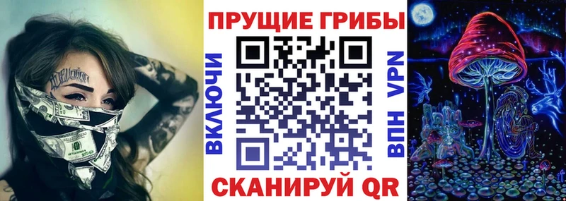 Псилоцибиновые грибы GOLDEN TEACHER  сколько стоит  Северобайкальск 