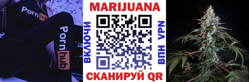 Конопля гибрид  Северобайкальск 